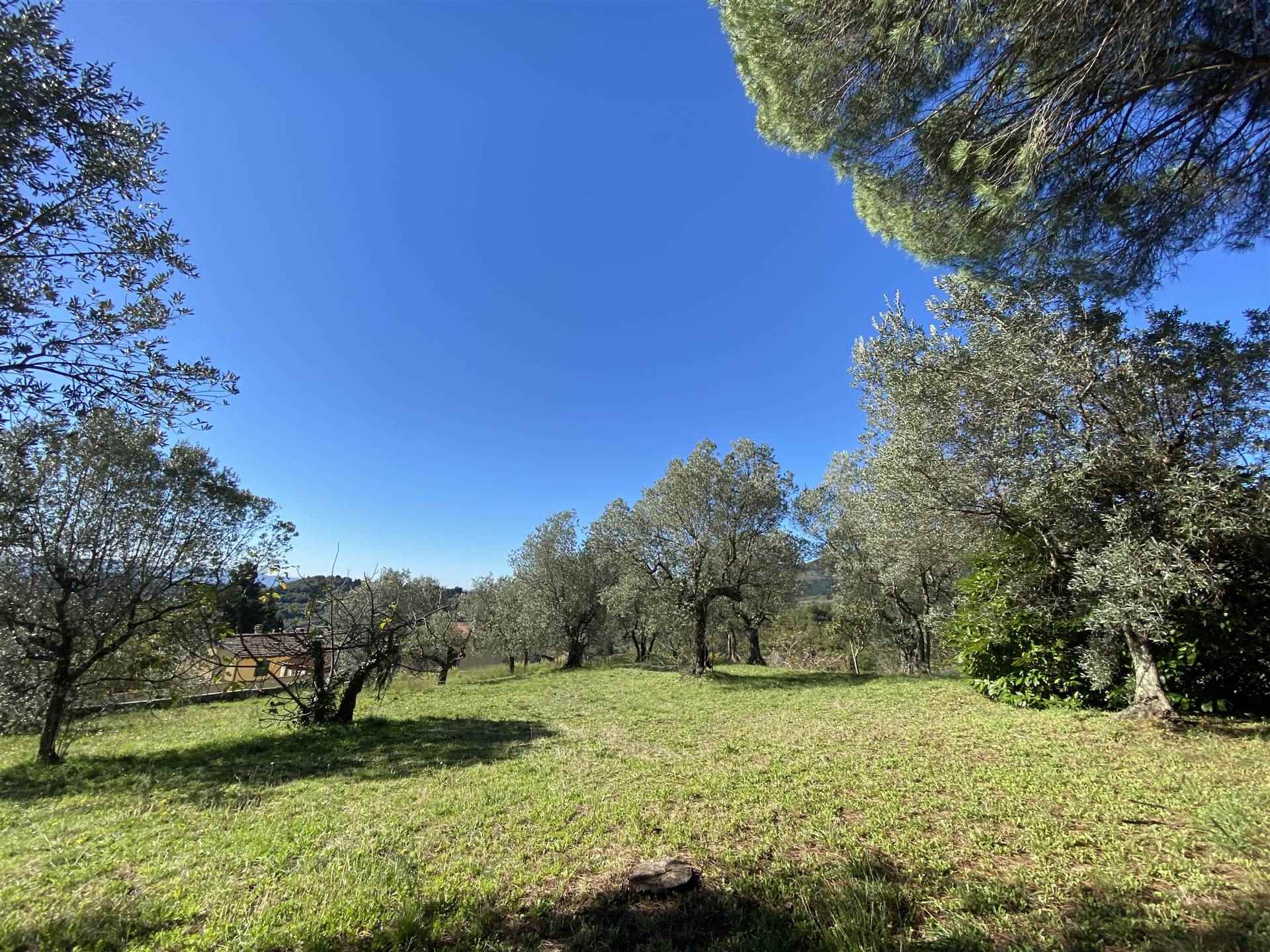 Villa da ristrutturare a Firenze