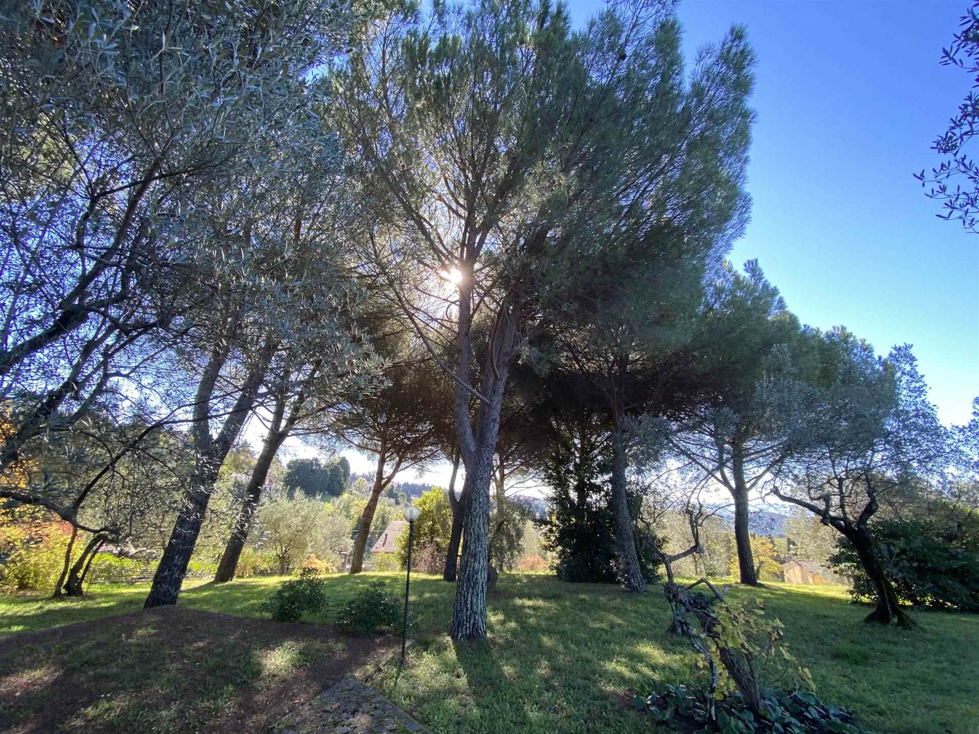 Villa da ristrutturare a Firenze