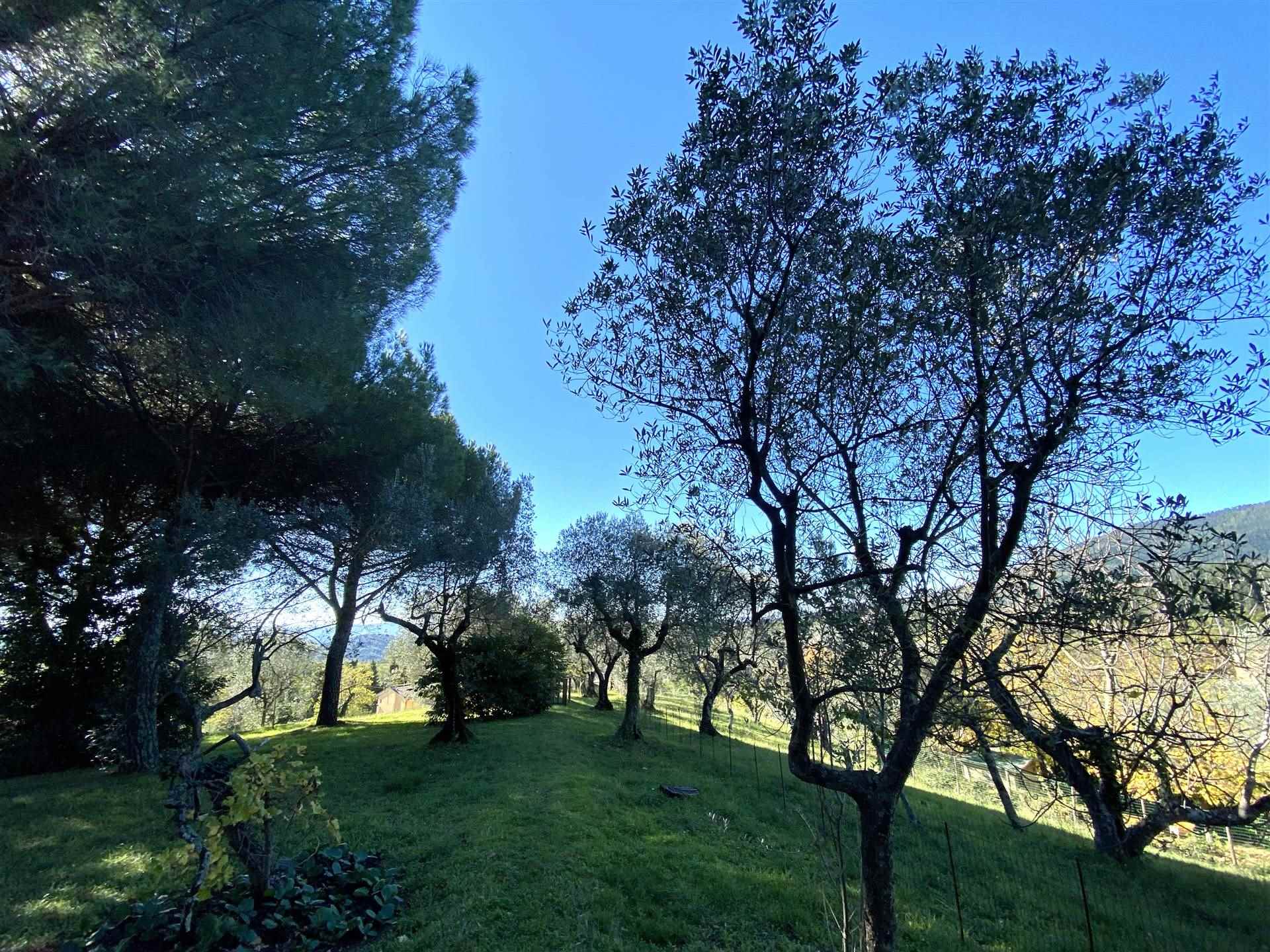 Villa da ristrutturare a Firenze