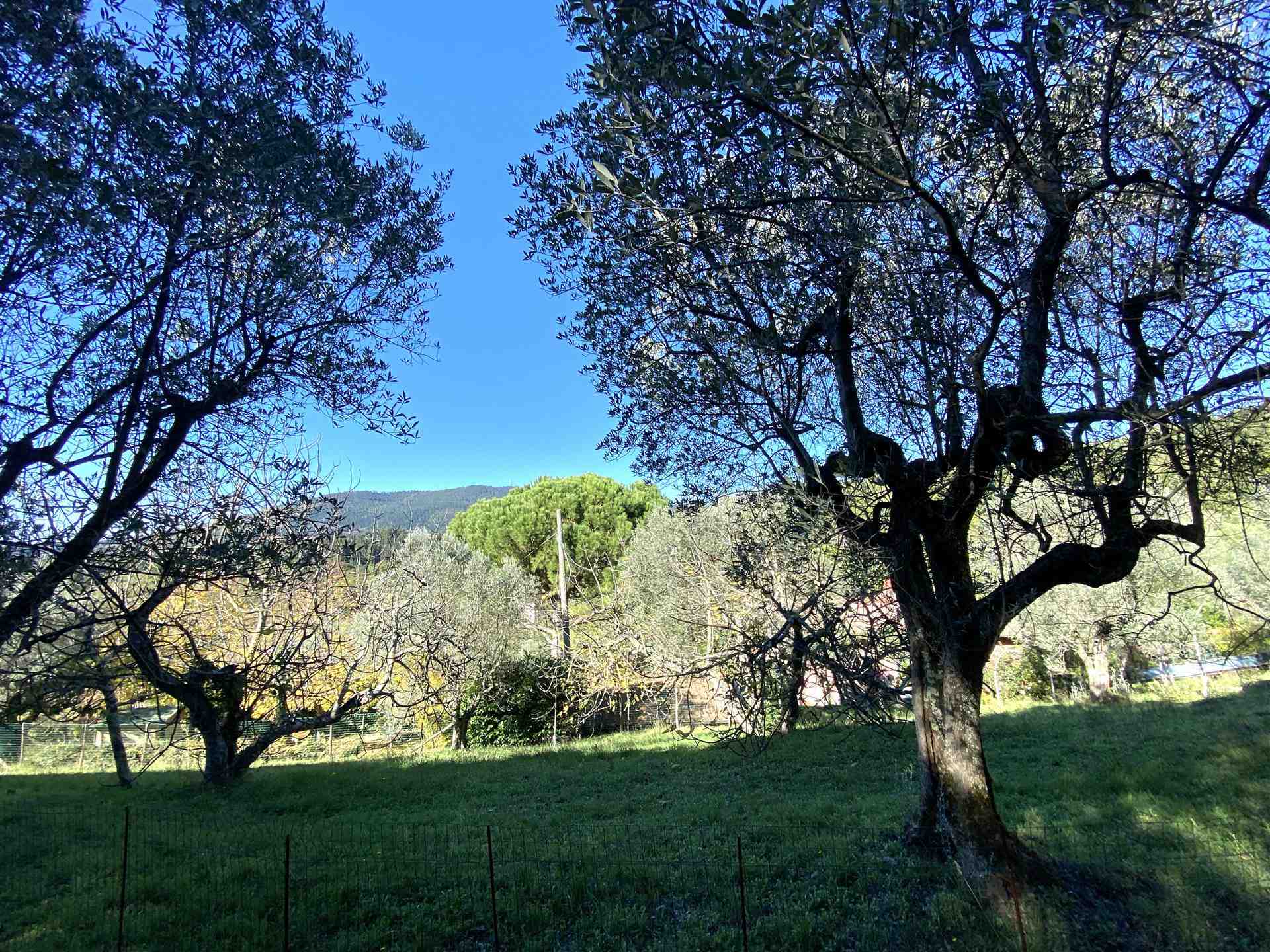 Villa da ristrutturare a Firenze