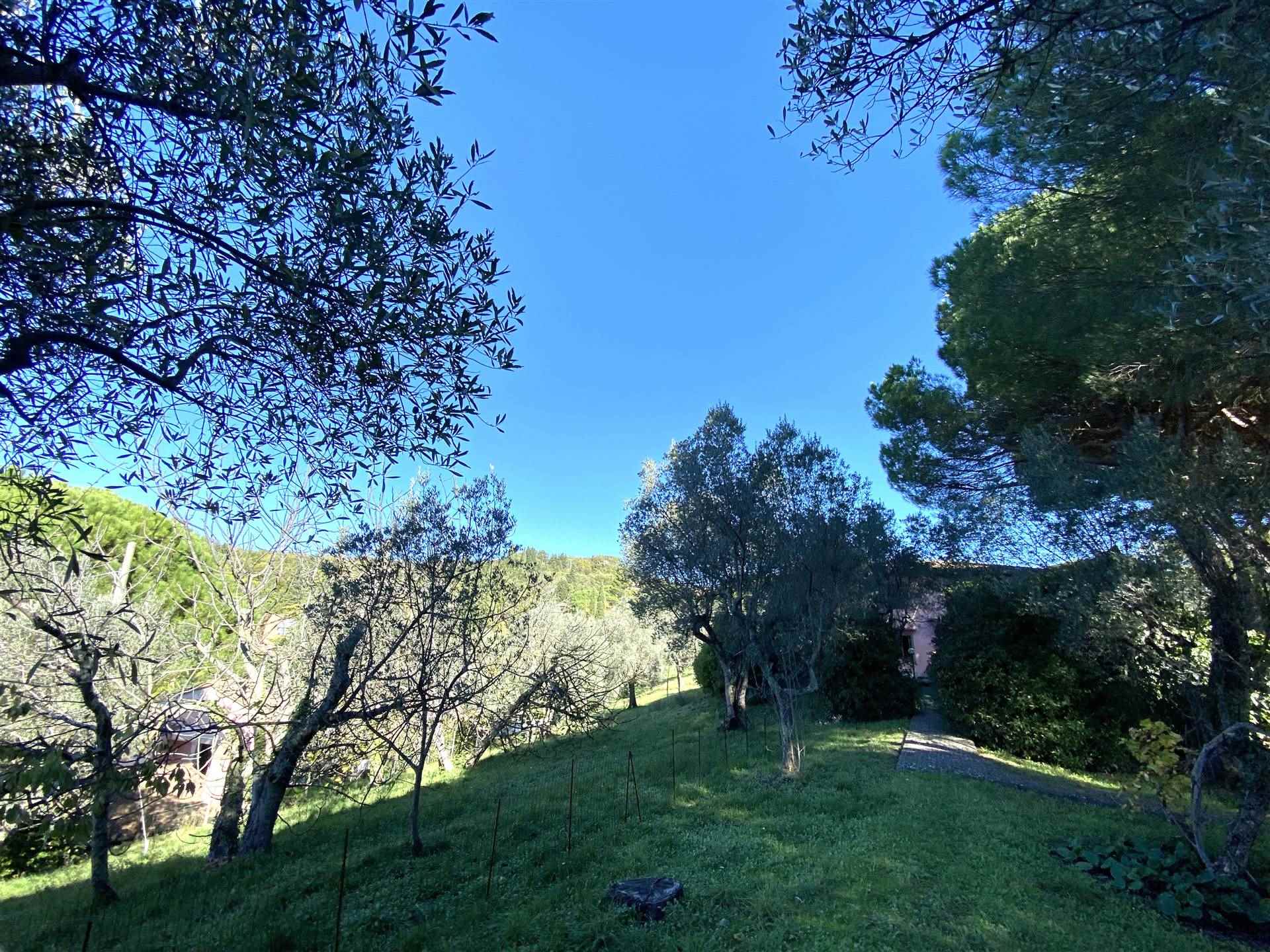 Villa da ristrutturare a Firenze