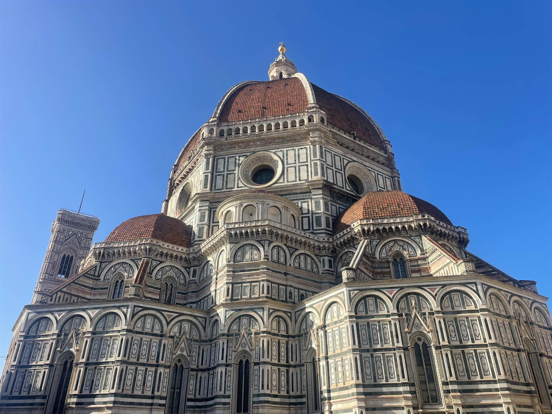 Attivit commerciale in affitto/gestione a Firenze