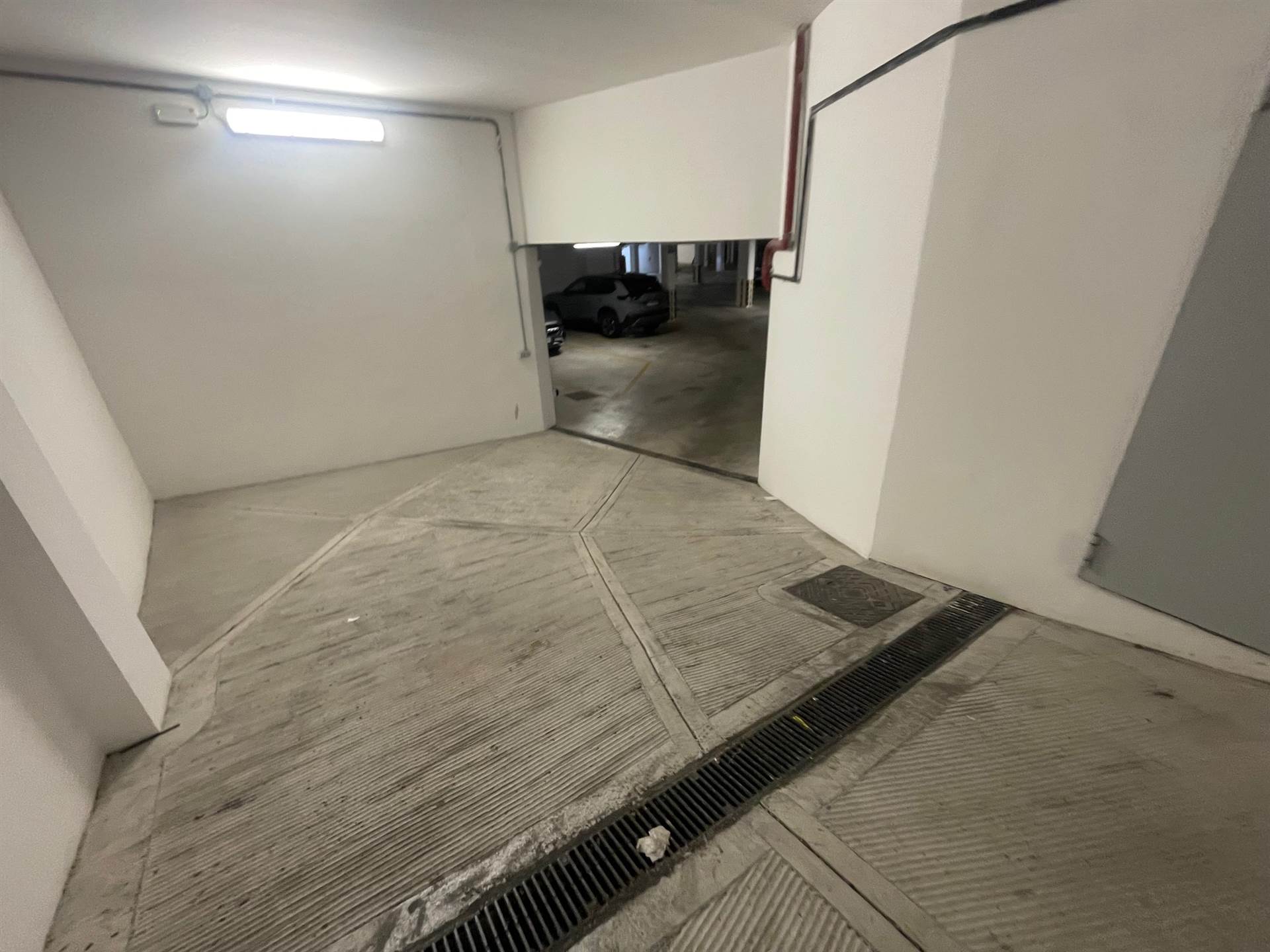 Attivit commerciale in affitto/gestione a Firenze