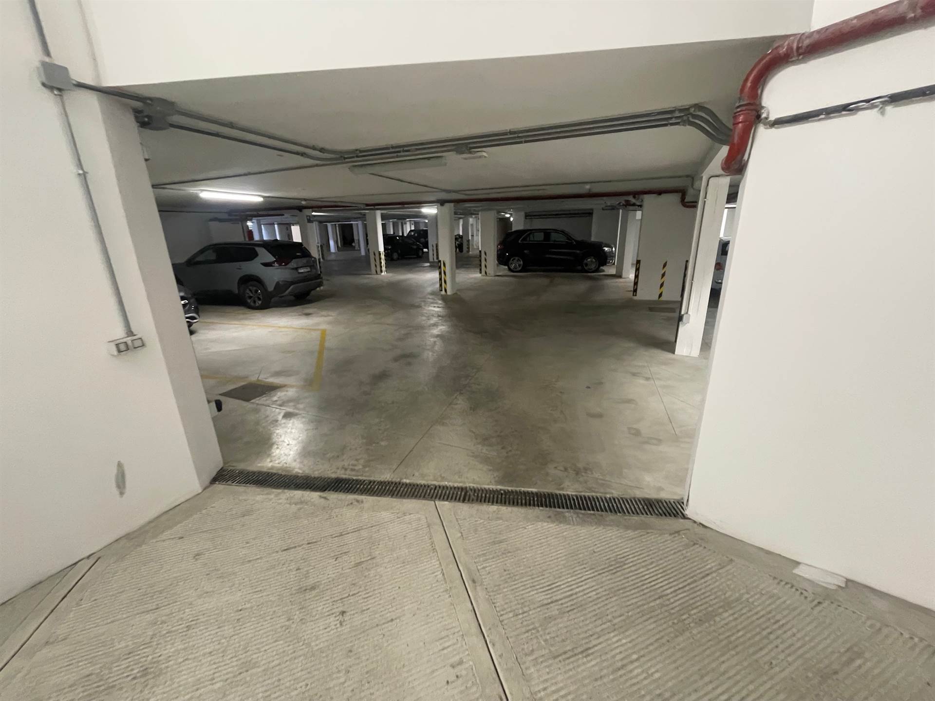 Attivit commerciale in affitto/gestione a Firenze