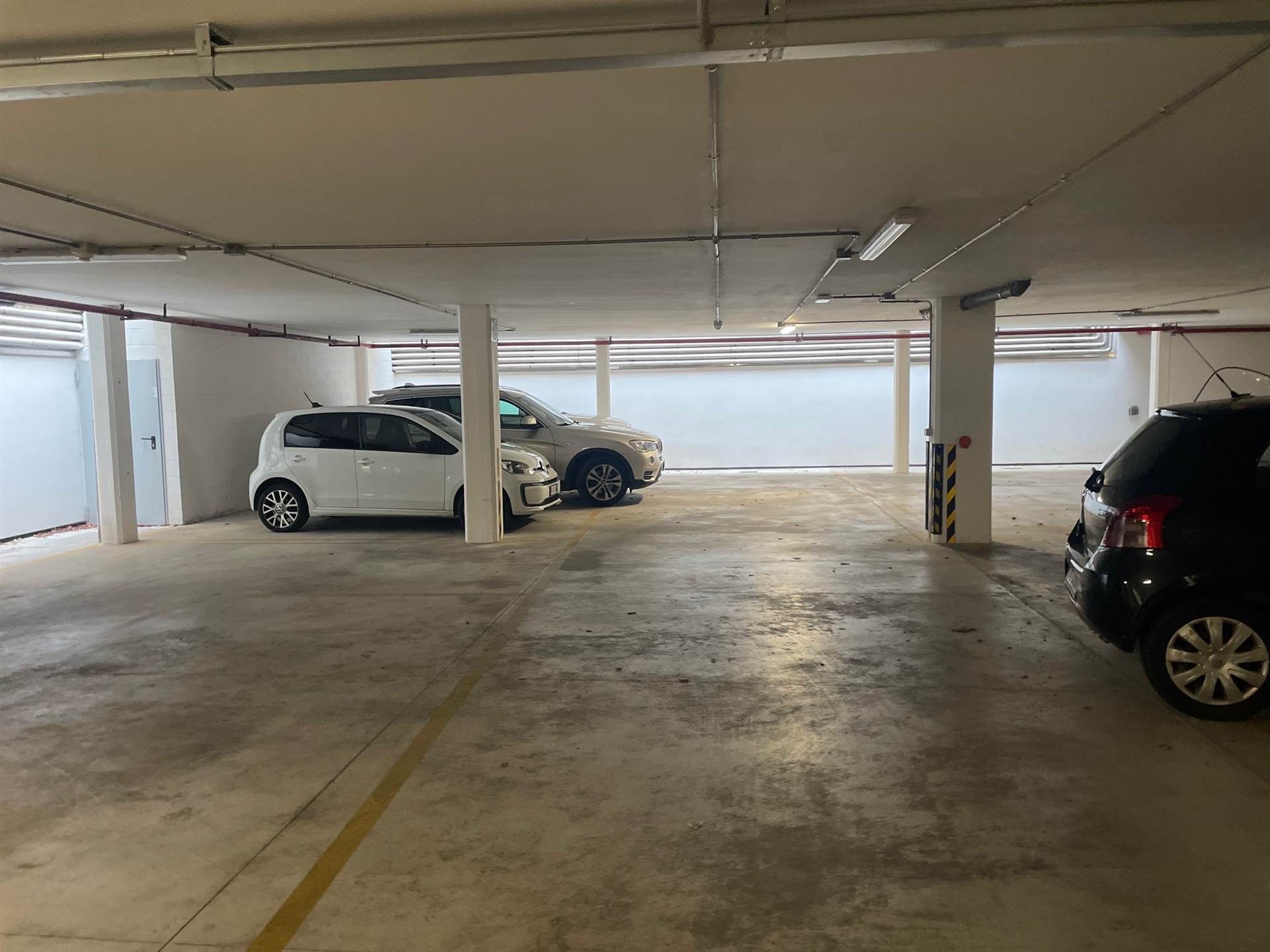 Attivit commerciale in affitto/gestione a Firenze