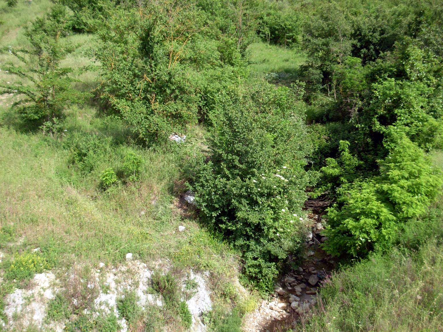 Terreno in vendita in via forlivese, Pelago