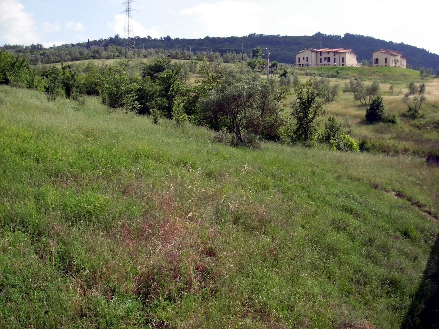 Terreno in vendita in via forlivese, Pelago