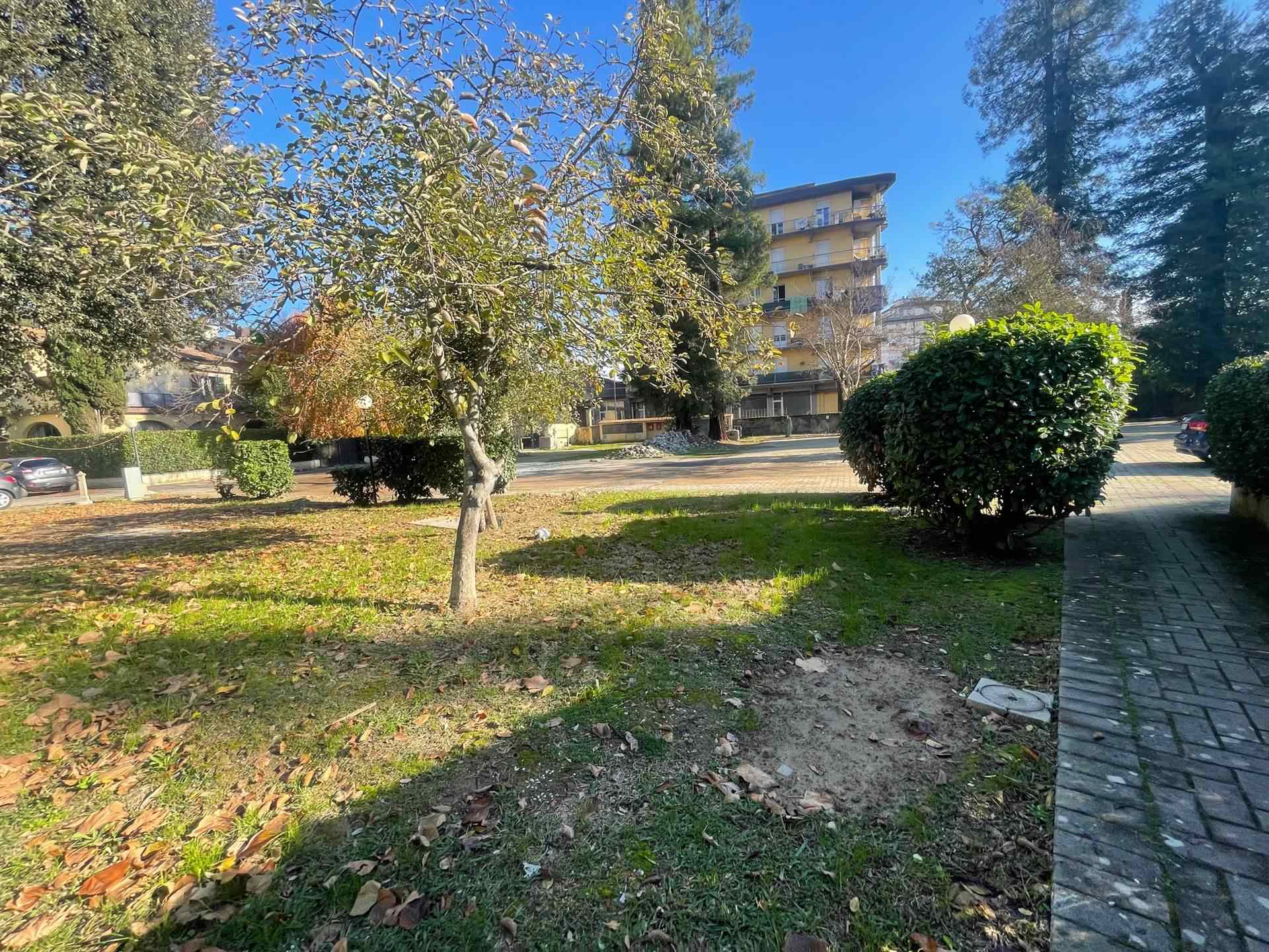 Casa indipendente in vendita a Signa