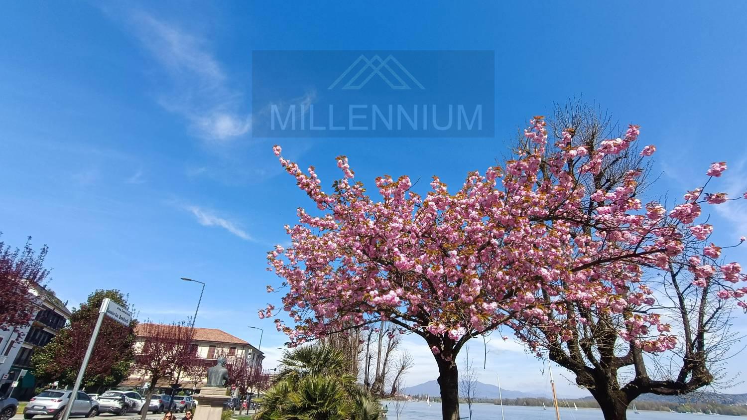 Appartamento in vendita a Arona