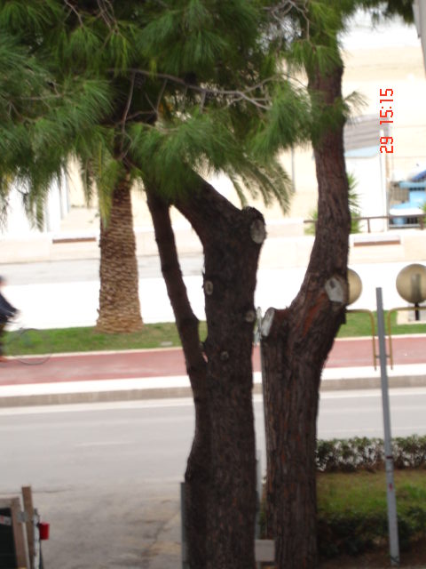 Trilocale arredato in affitto in lungomare roma, Roseto degli Abruzzi