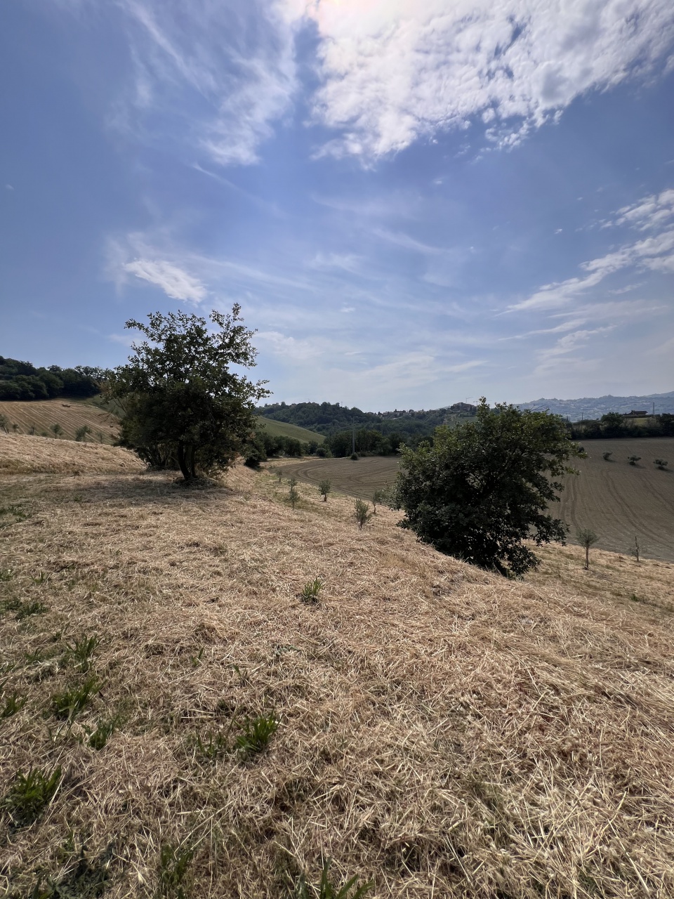 Rustico da ristrutturare a Teramo