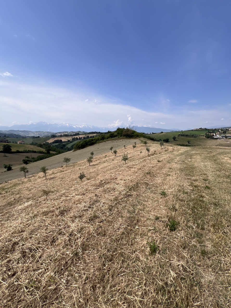 Rustico da ristrutturare a Teramo