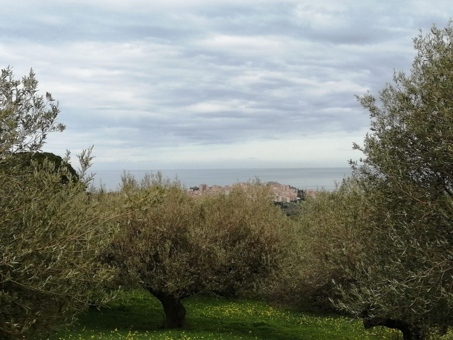 Terreno vista mare in contrada figurella 0, Termini Imerese