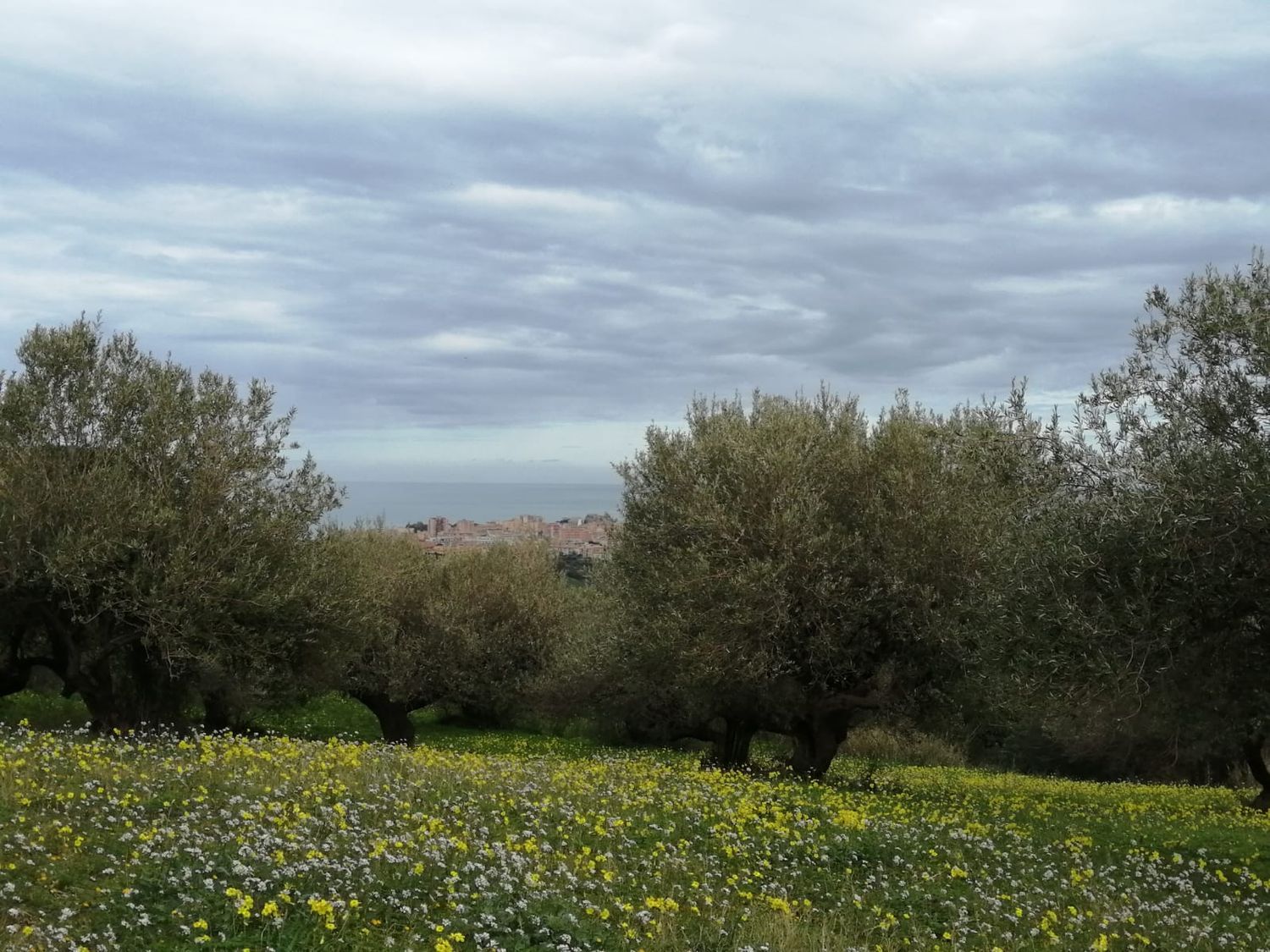 Terreno vista mare in contrada figurella 0, Termini Imerese