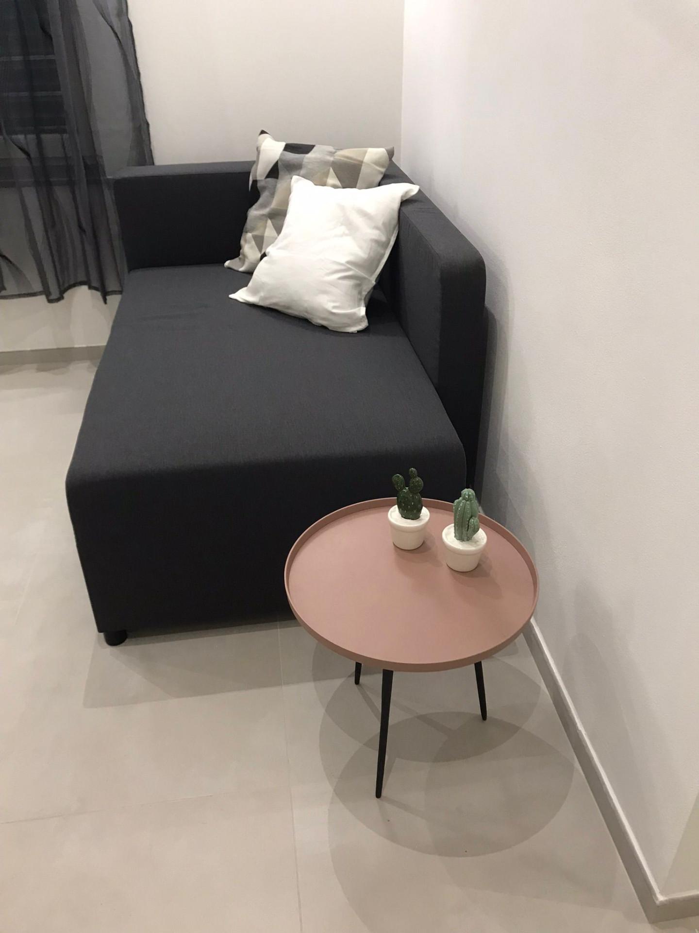 Monolocale arredato in affitto, Lucca borgo giannotti