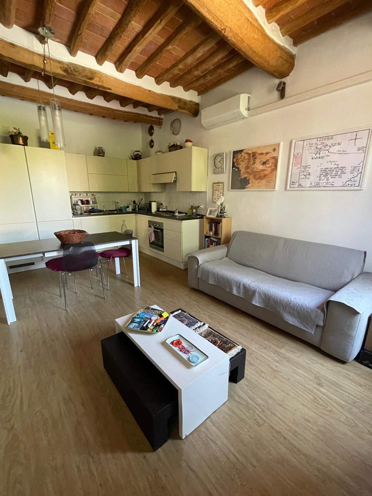 Bilocale arredato in affitto, Lucca sant'alessio