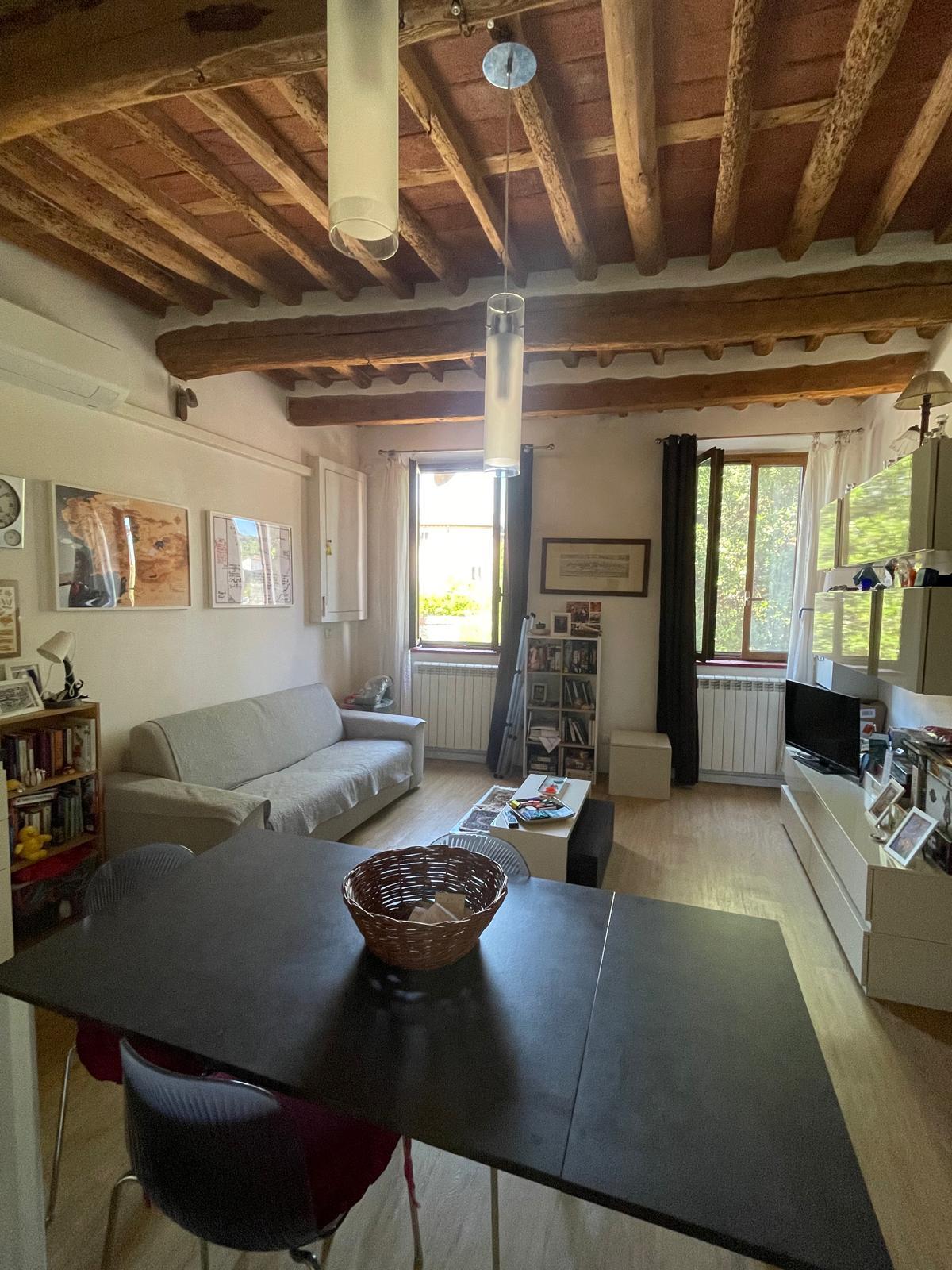Bilocale arredato in affitto, Lucca sant'alessio
