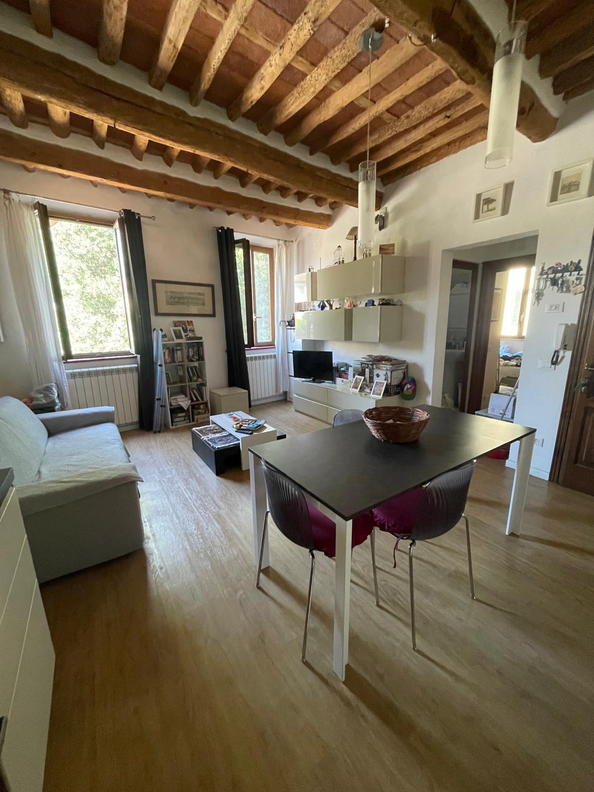 Bilocale arredato in affitto, Lucca sant'alessio