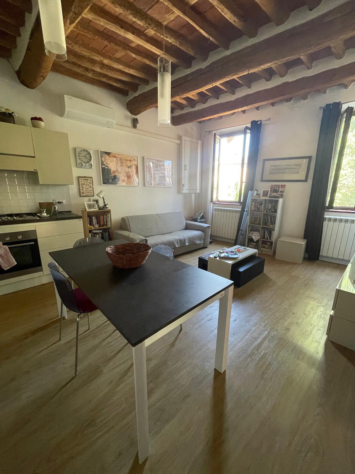 Bilocale arredato in affitto, Lucca sant'alessio