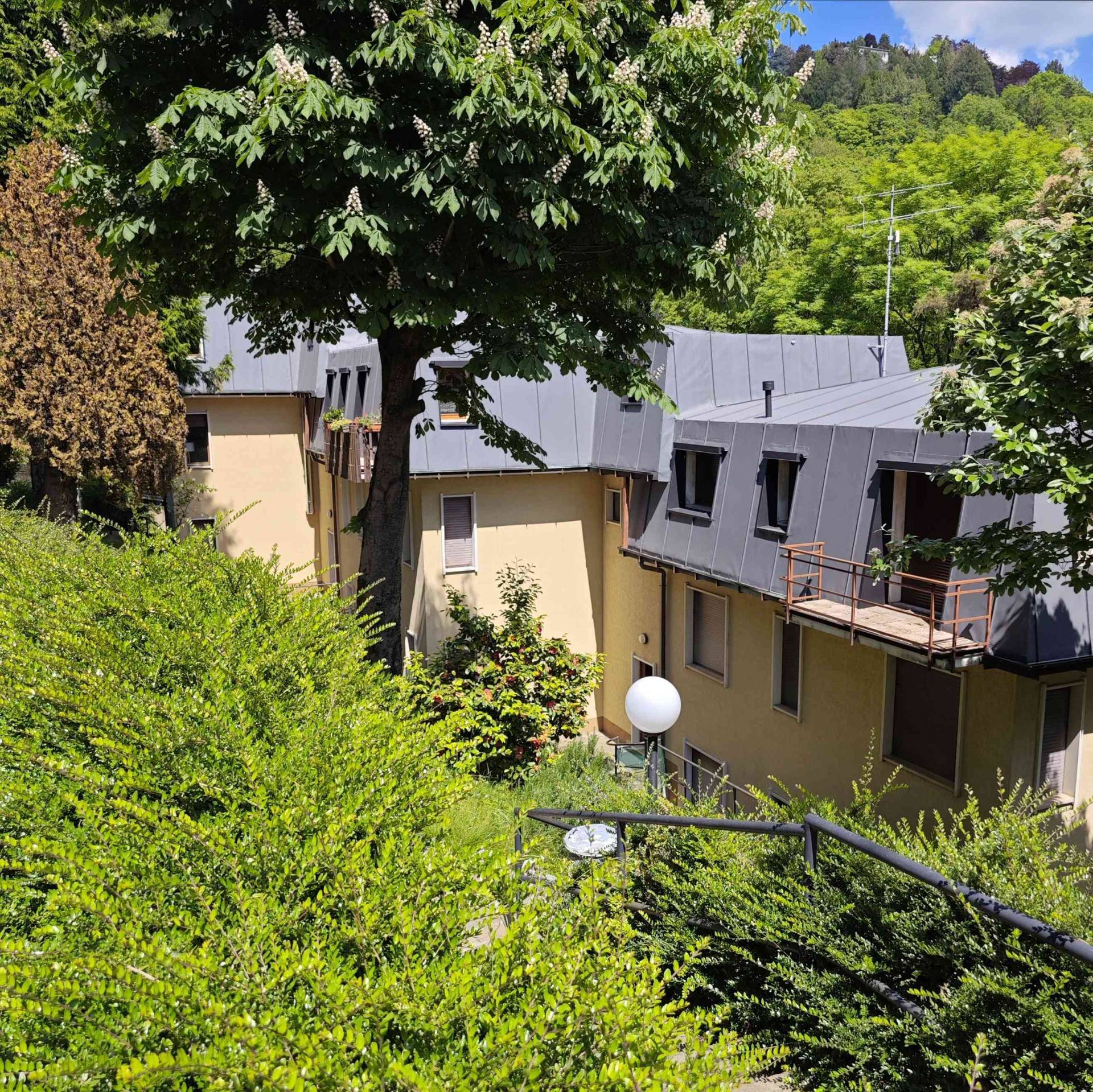 trilocale in affitto a Brunate