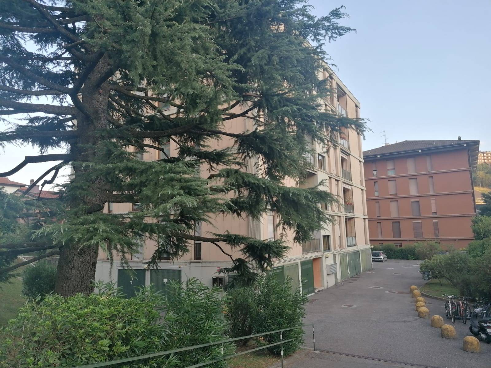 monolocale in affitto a Maslianico