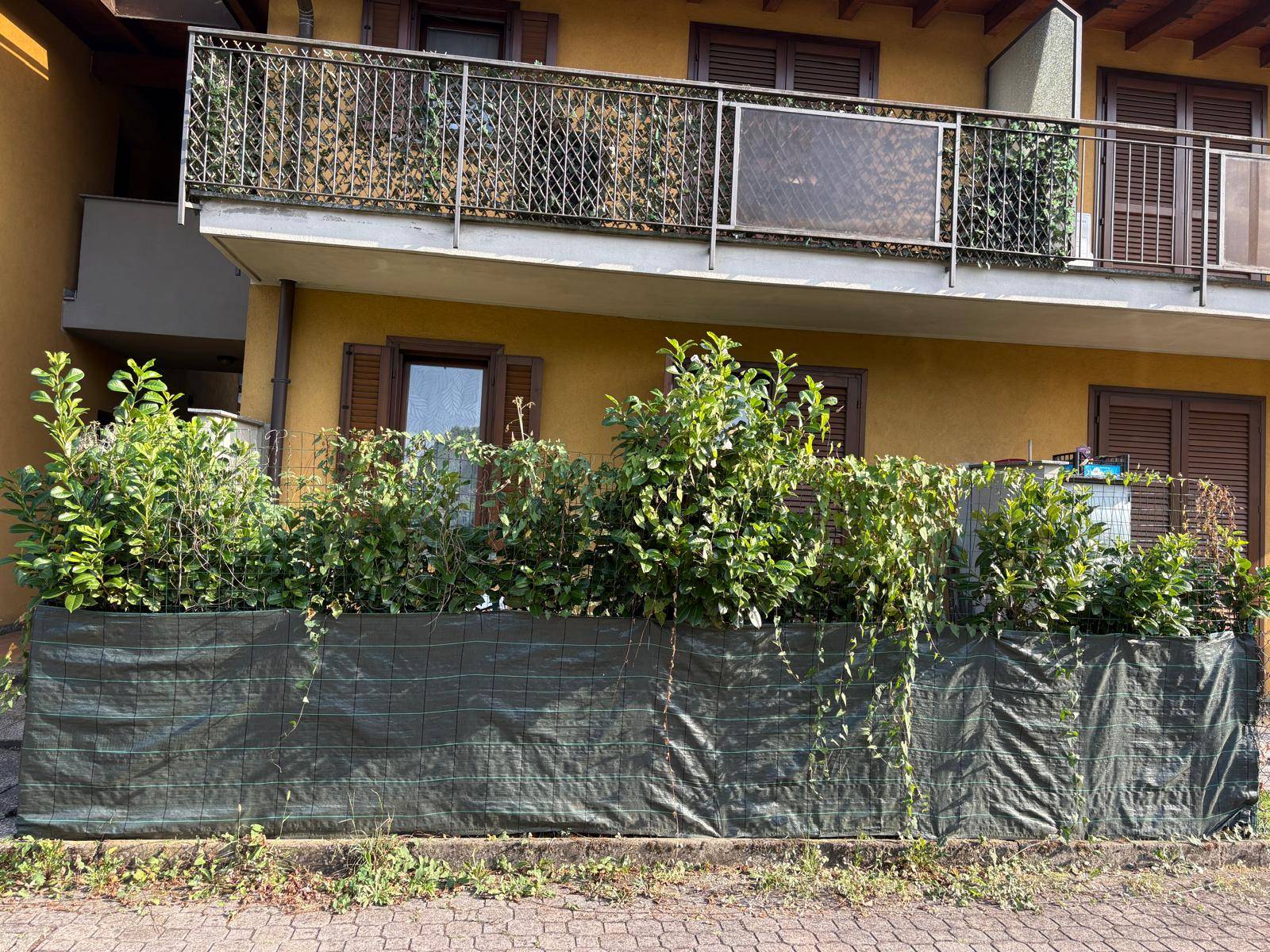 bilocale in affitto a Appiano Gentile