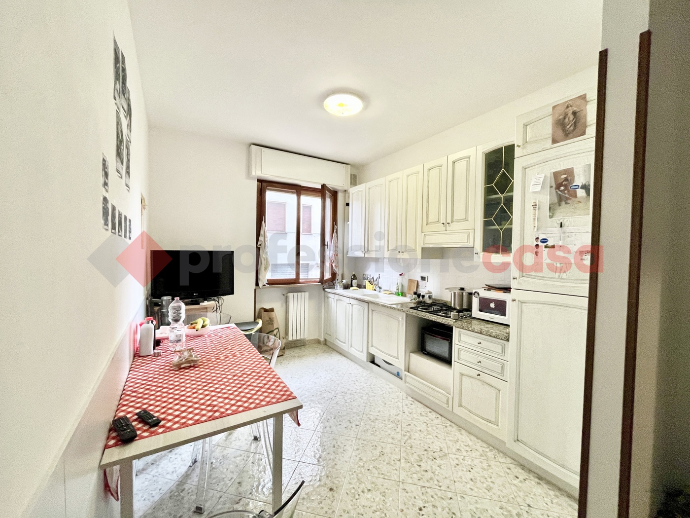 Monolocale arredato in affitto a Pisa