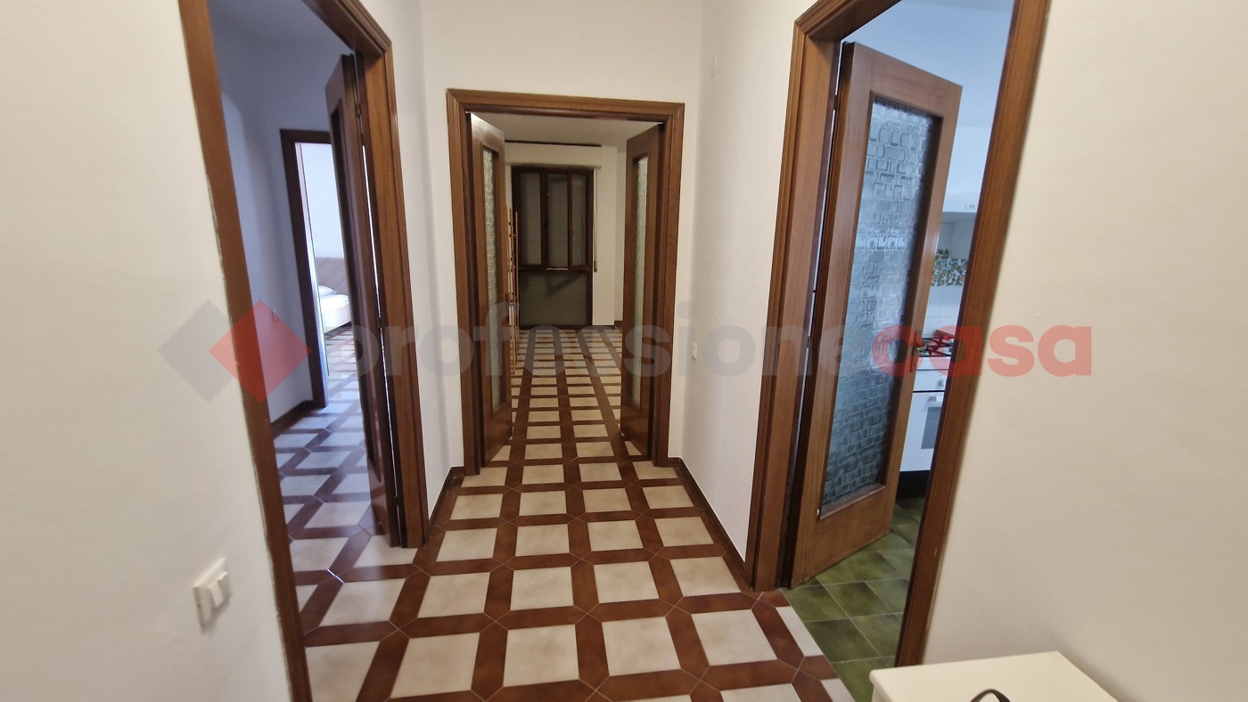 Monolocale in affitto a Pisa