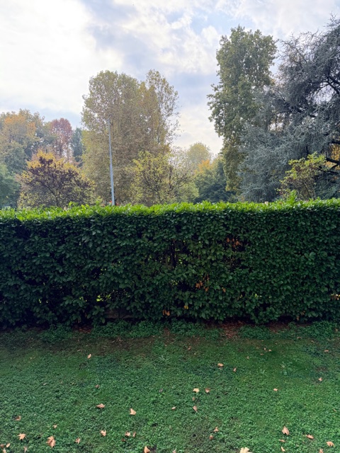 Trilocale in vendita in via dei ciclamini, Milano