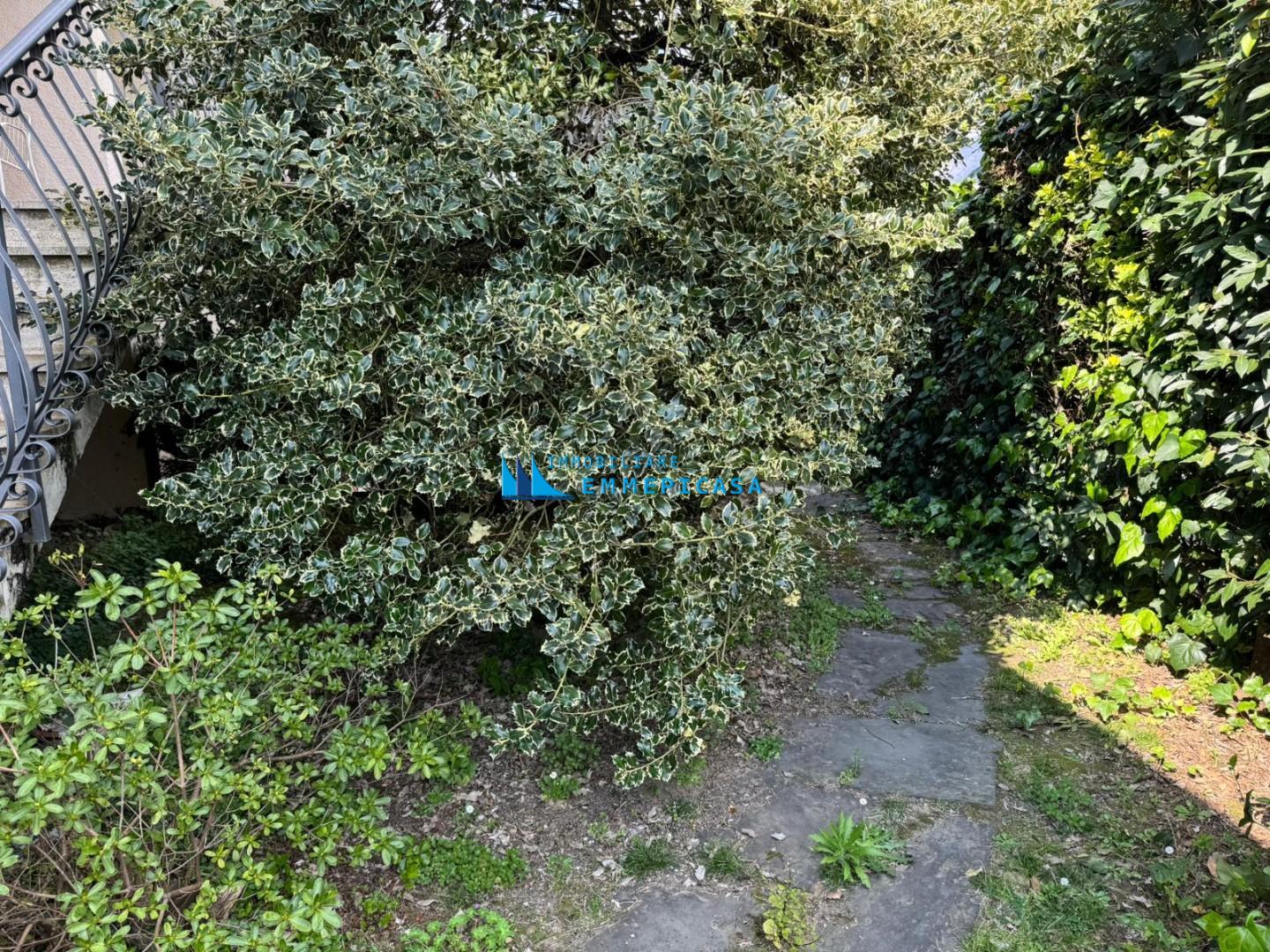 Villa con giardino, Montignoso cervaiolo