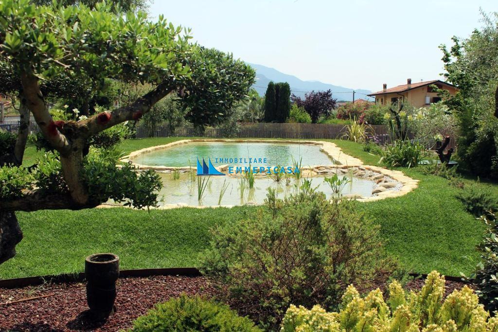 immagine annuncio 2 di 6