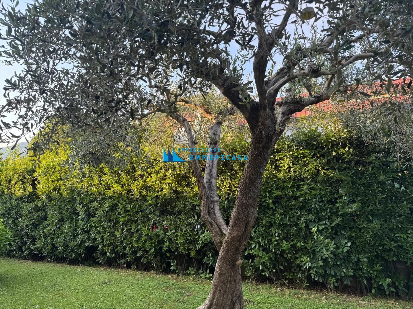 Casa indipendente con giardino, Massa turano