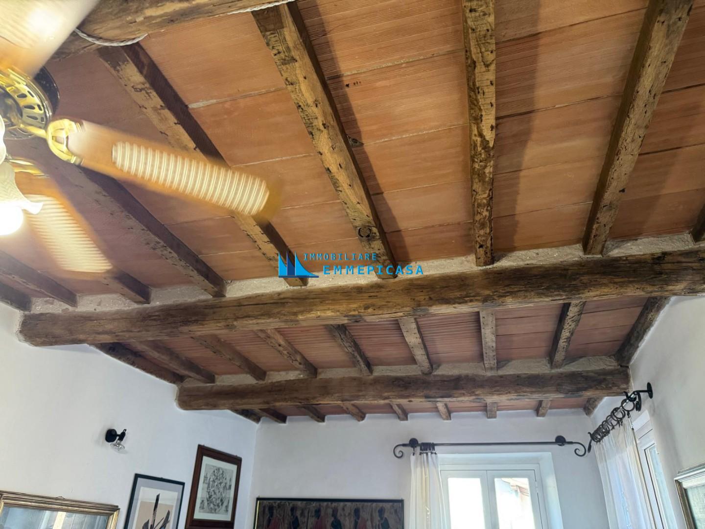 Casa indipendente in vendita, Montignoso capanne
