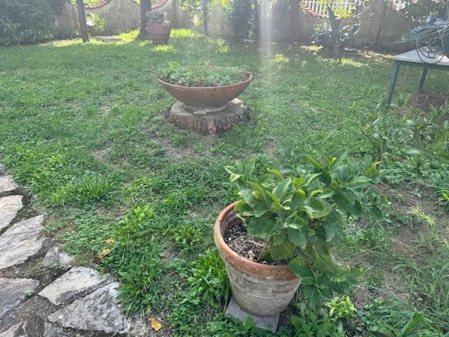 Villa con giardino, San Giuliano Terme pontasserchio