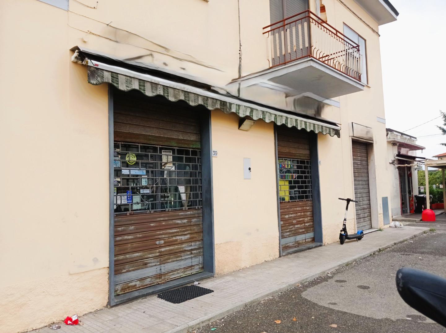 Negozio in affitto a Pisa