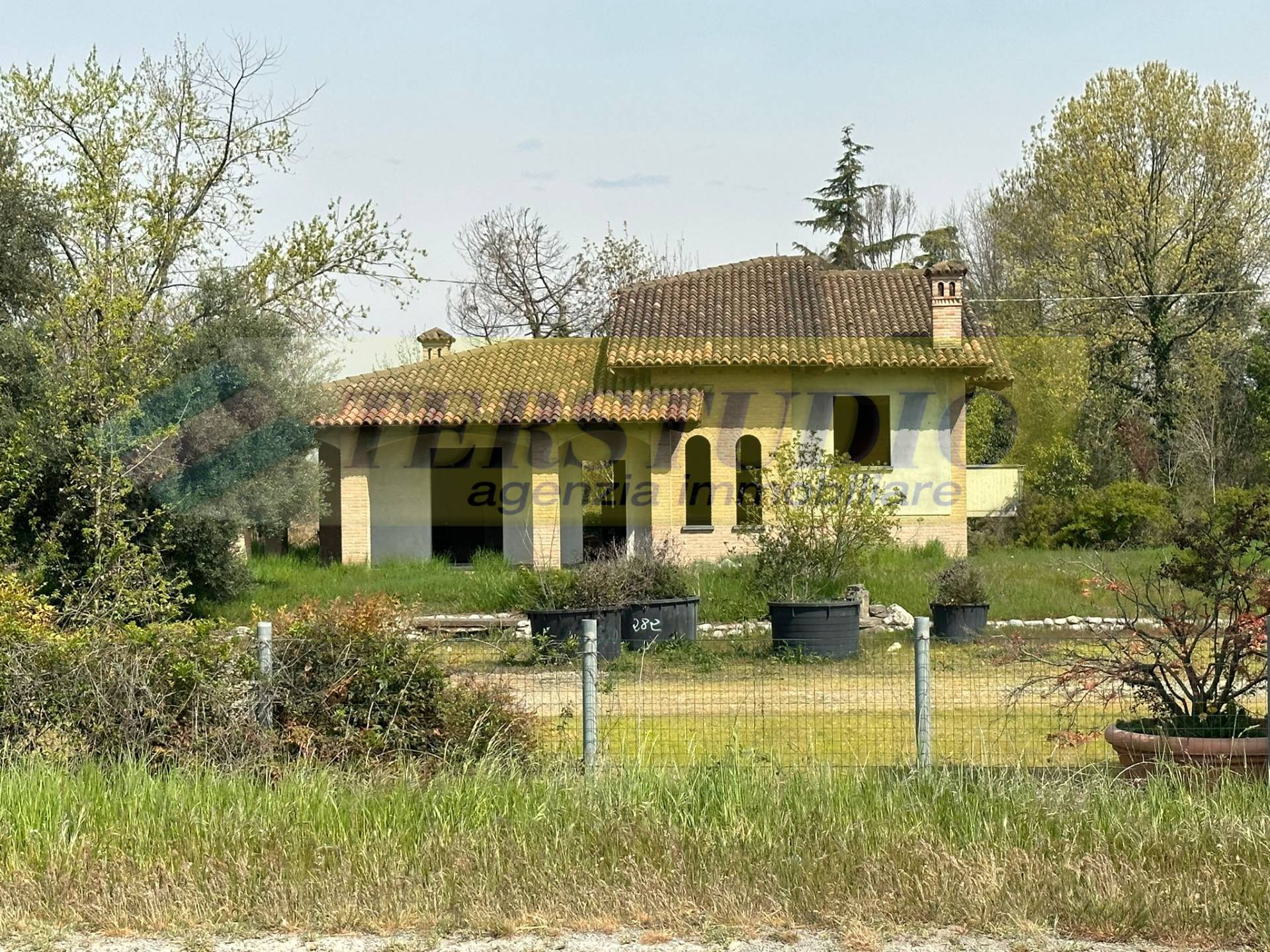 immagine annuncio 5 di 6