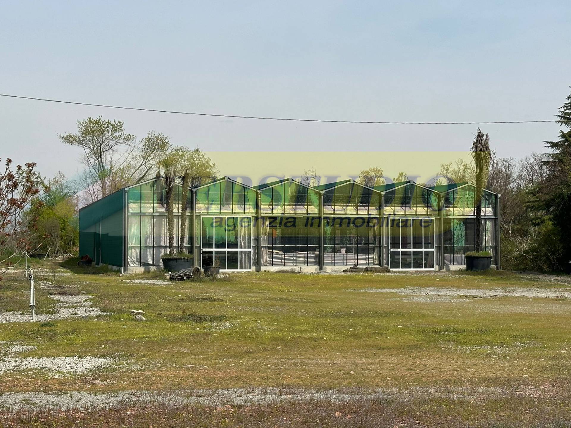 immagine annuncio 6 di 8