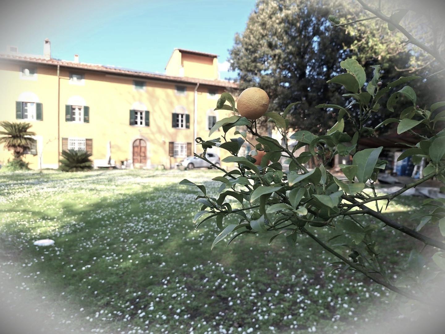 Casa indipendente con giardino, Cascina san frediano a settimo