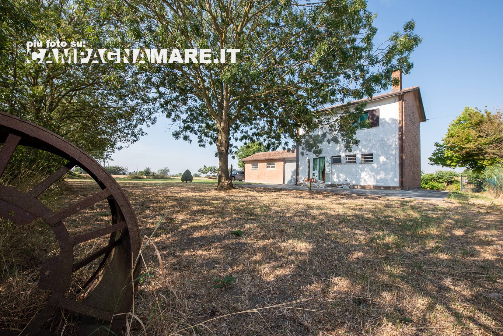 immagine annuncio 1 di 6