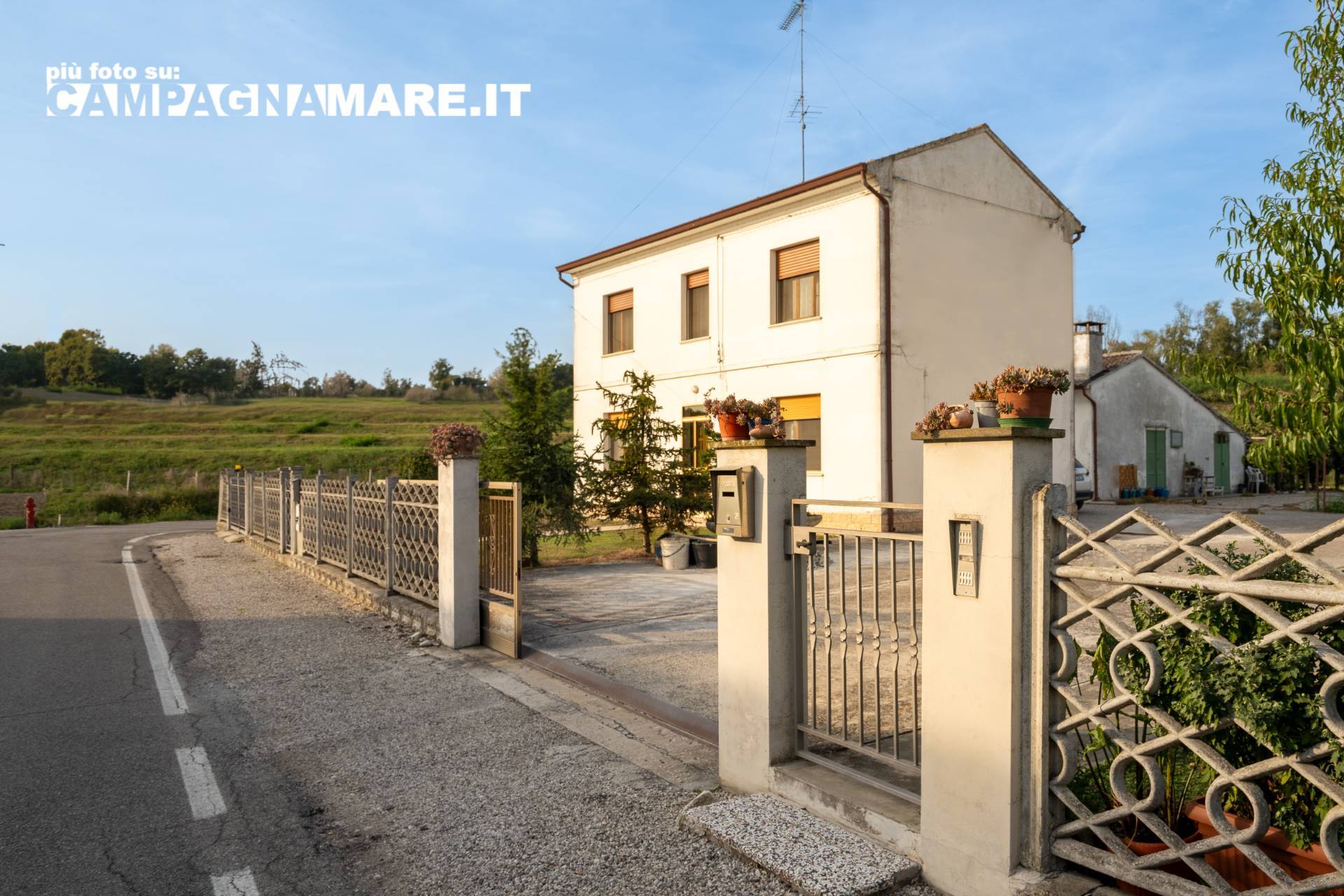immagine annuncio 2 di 6