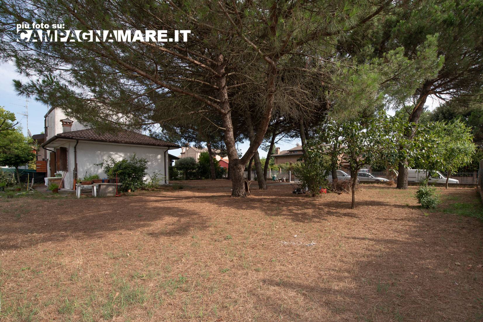 Casa singola in vendita a Codigoro