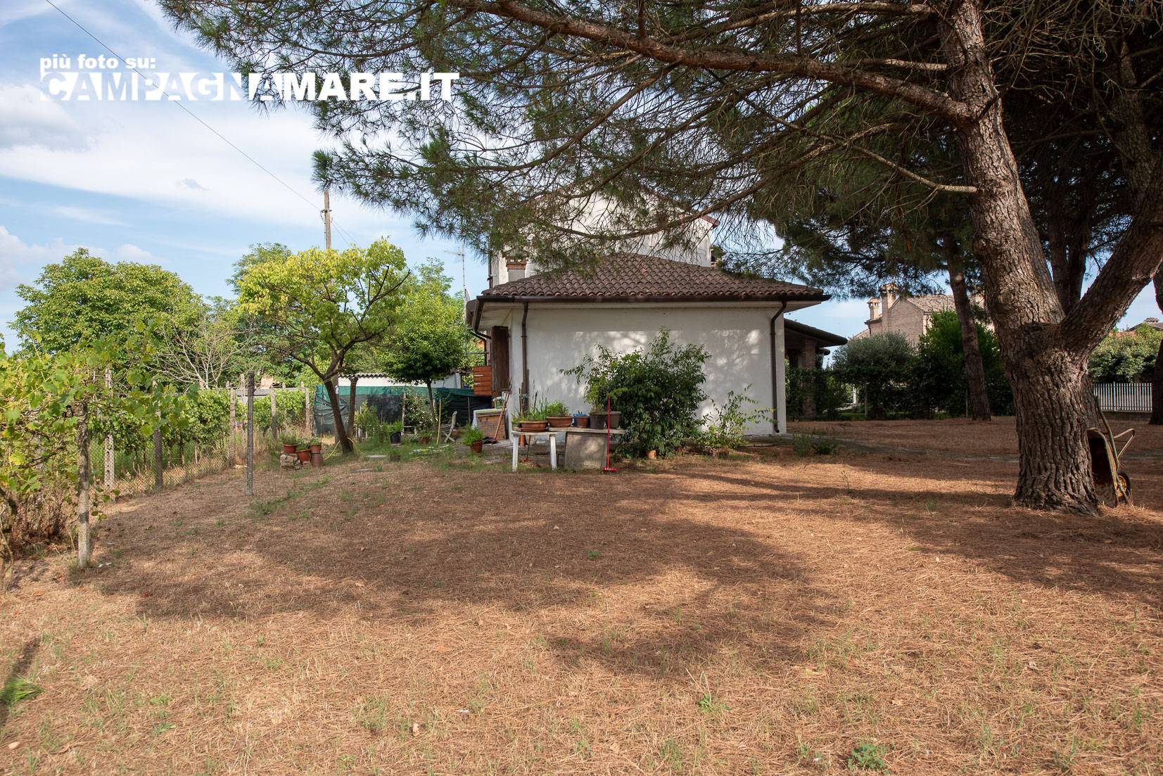 Casa singola in vendita a Codigoro