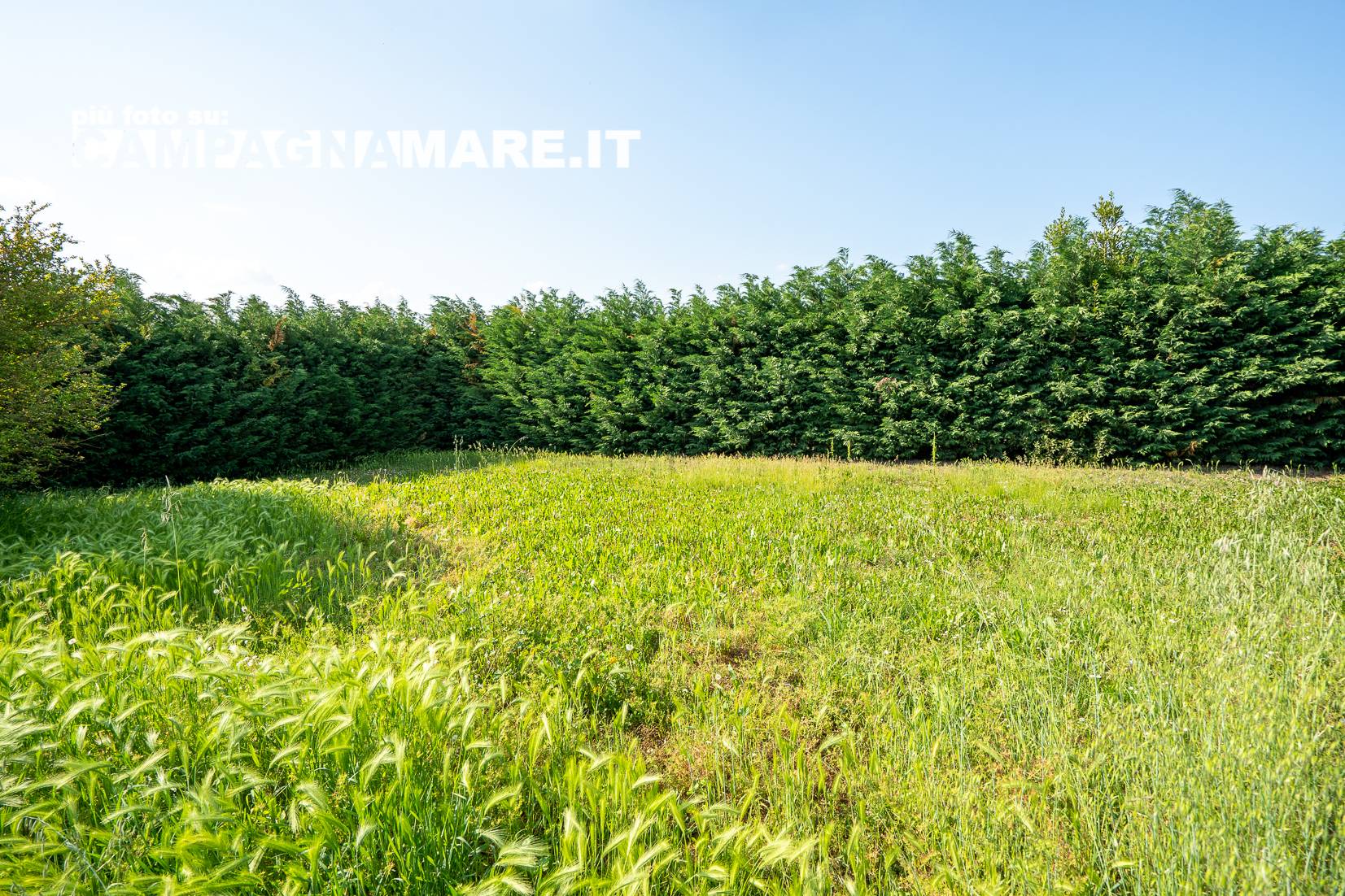 Casa singola in vendita a Copparo