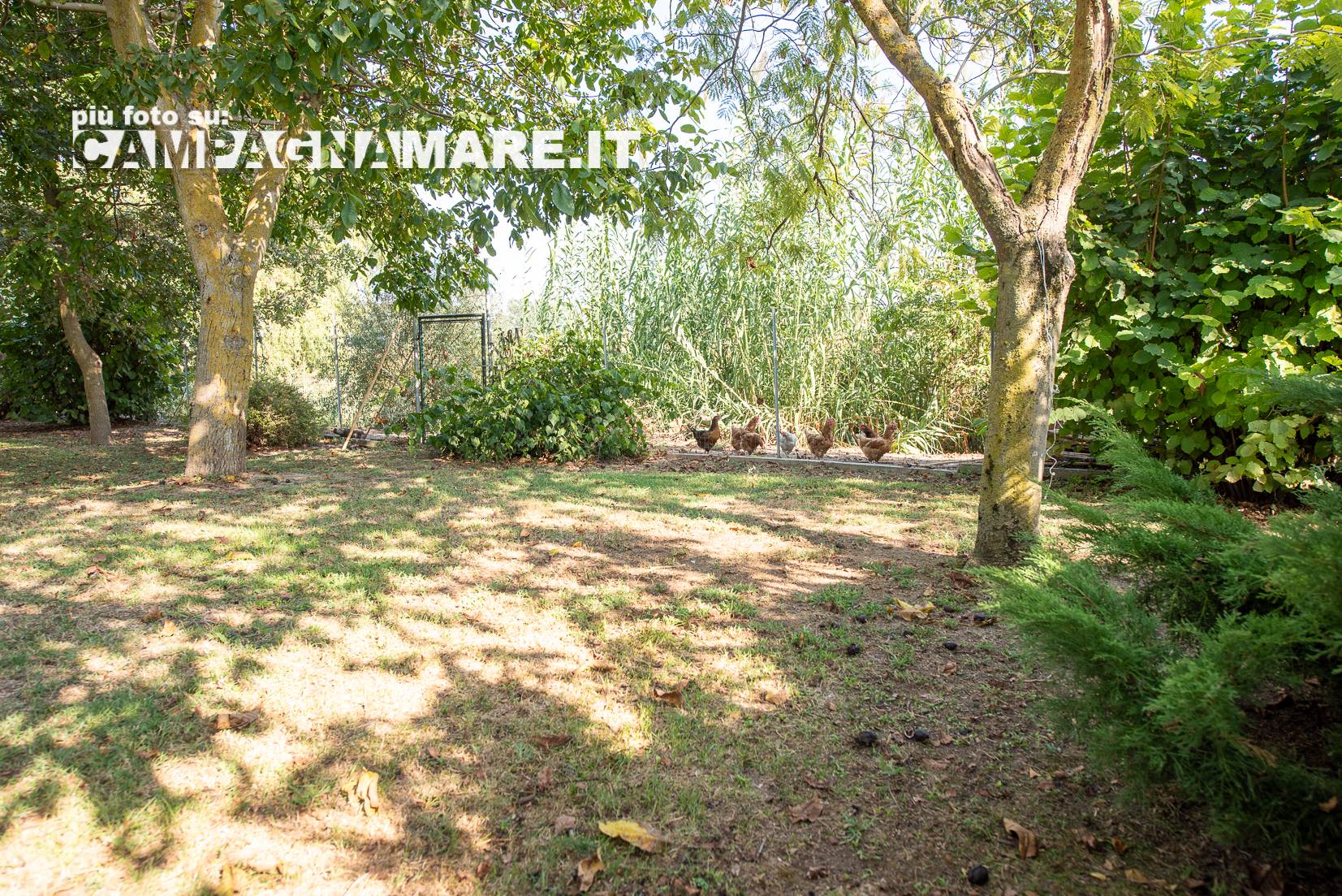 Casale in vendita a Portomaggiore