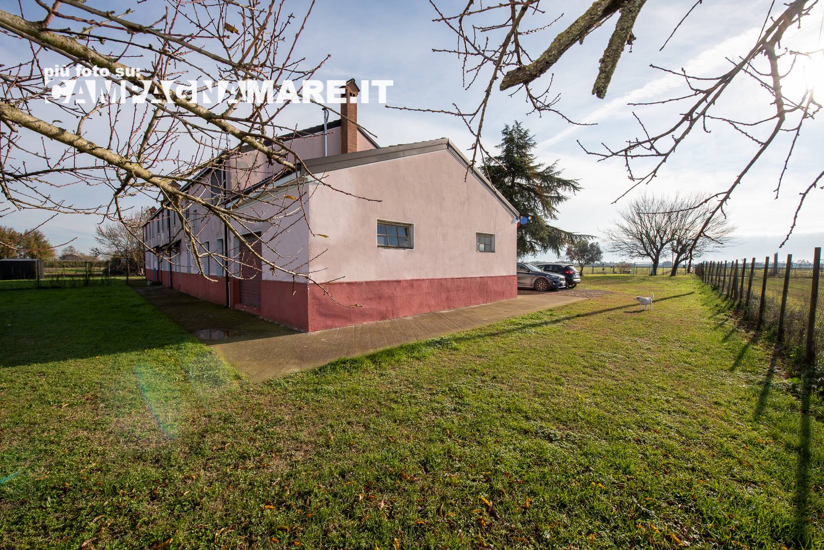 immagine annuncio 3 di 10