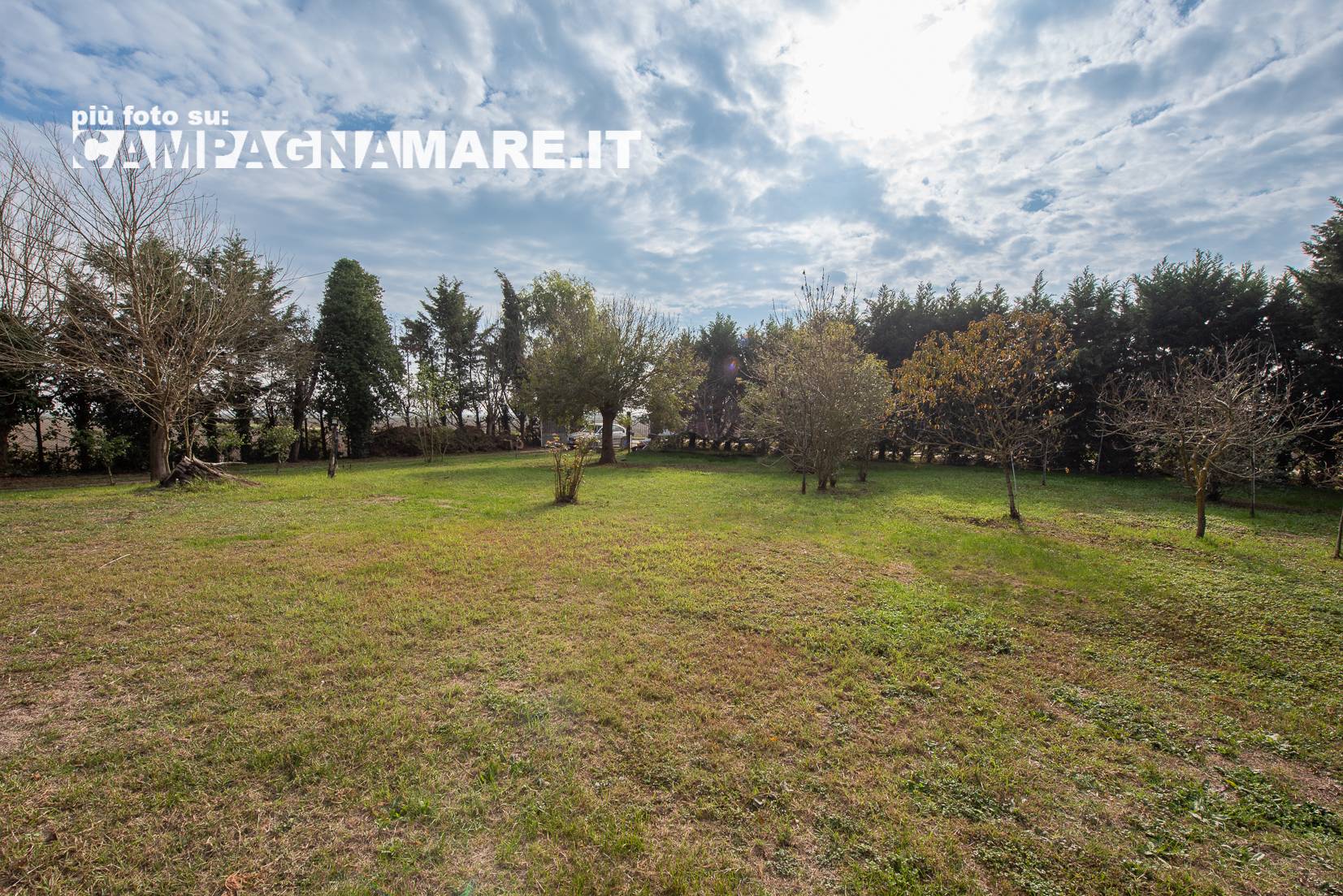 Casa singola in vendita a Codigoro