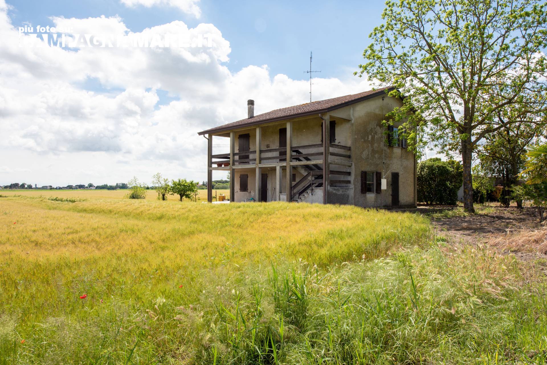 Casa singola in vendita a Mesola