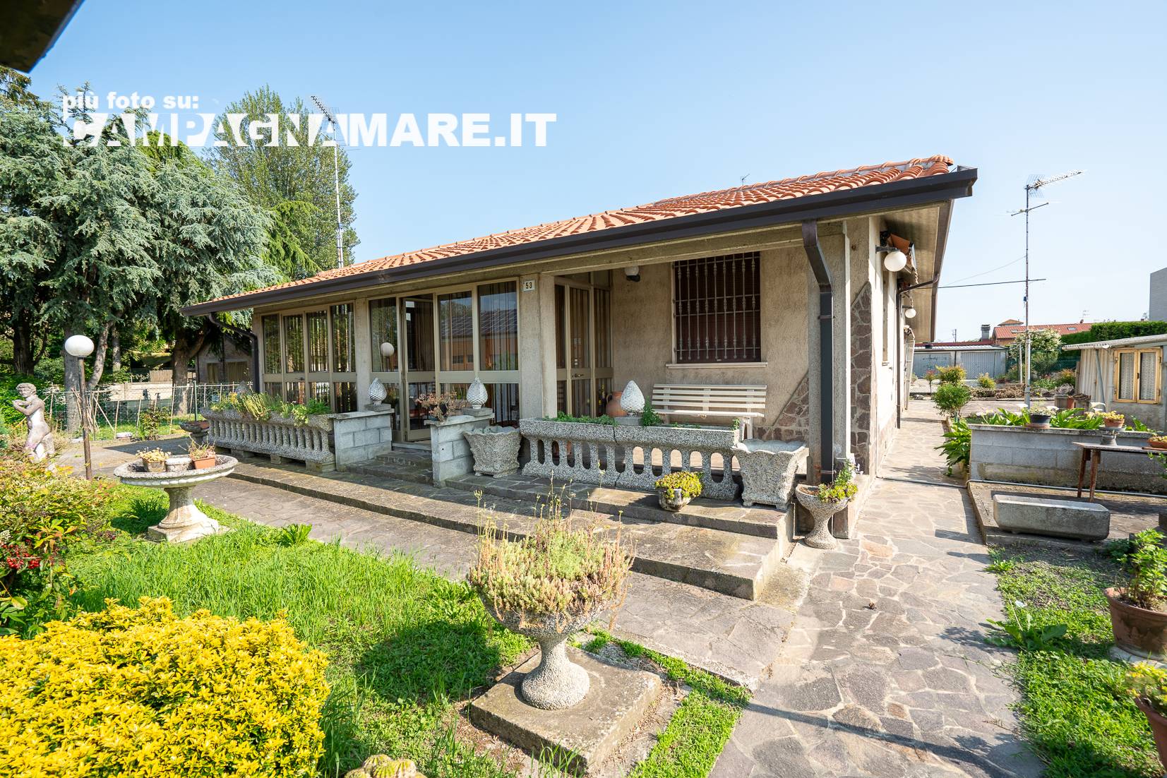 immagine annuncio 1 di 10