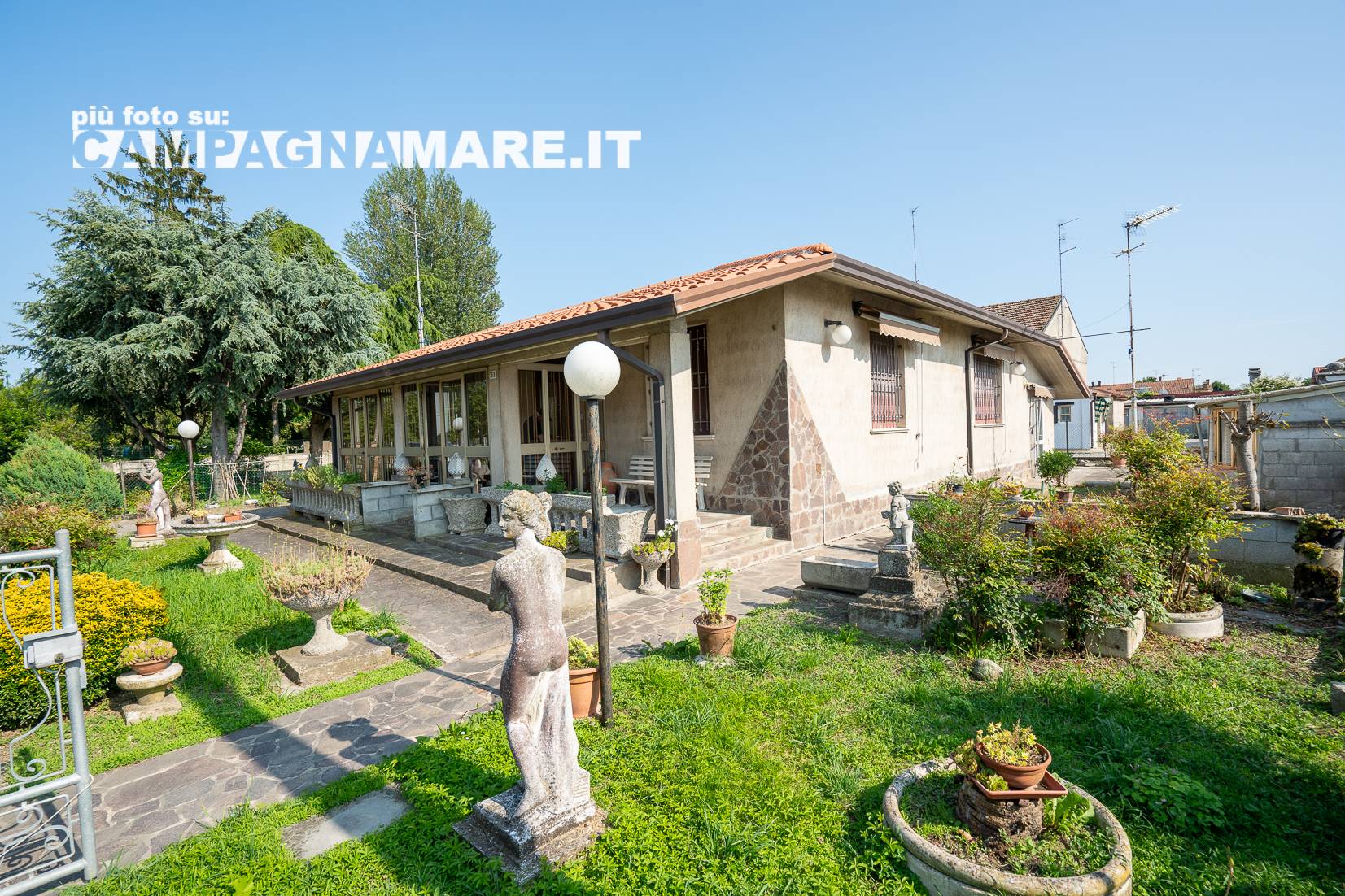 immagine annuncio 2 di 10