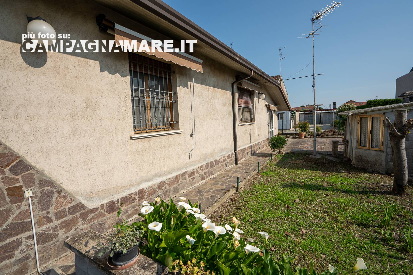 immagine annuncio 5 di 10